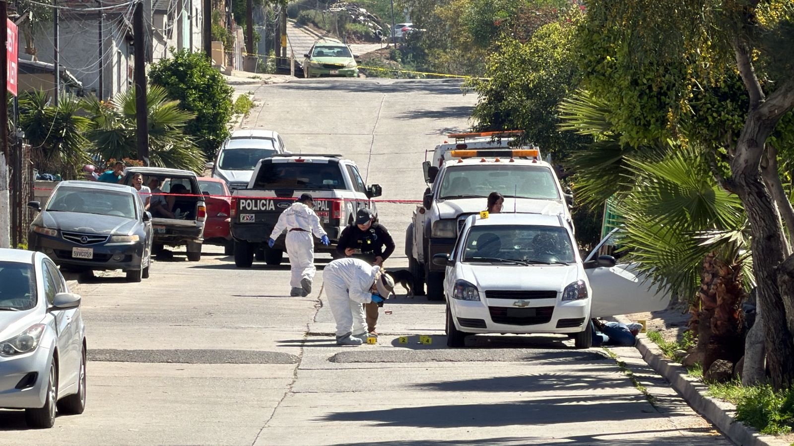 WhatsApp Image 2026-02-26 at 1.28.30 PM