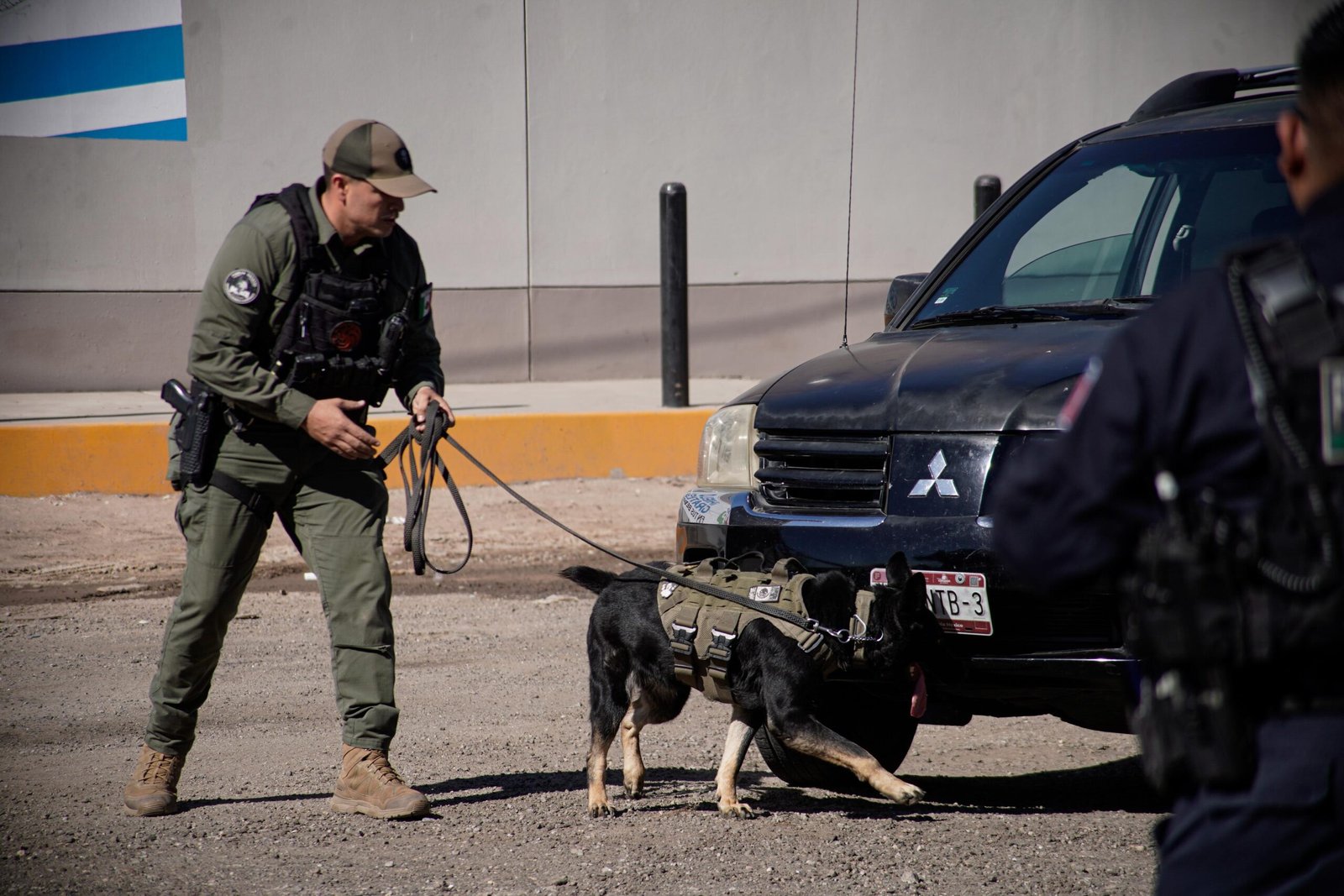 WhatsApp Image 2026-02-26 at 12.30.17 PM (4)