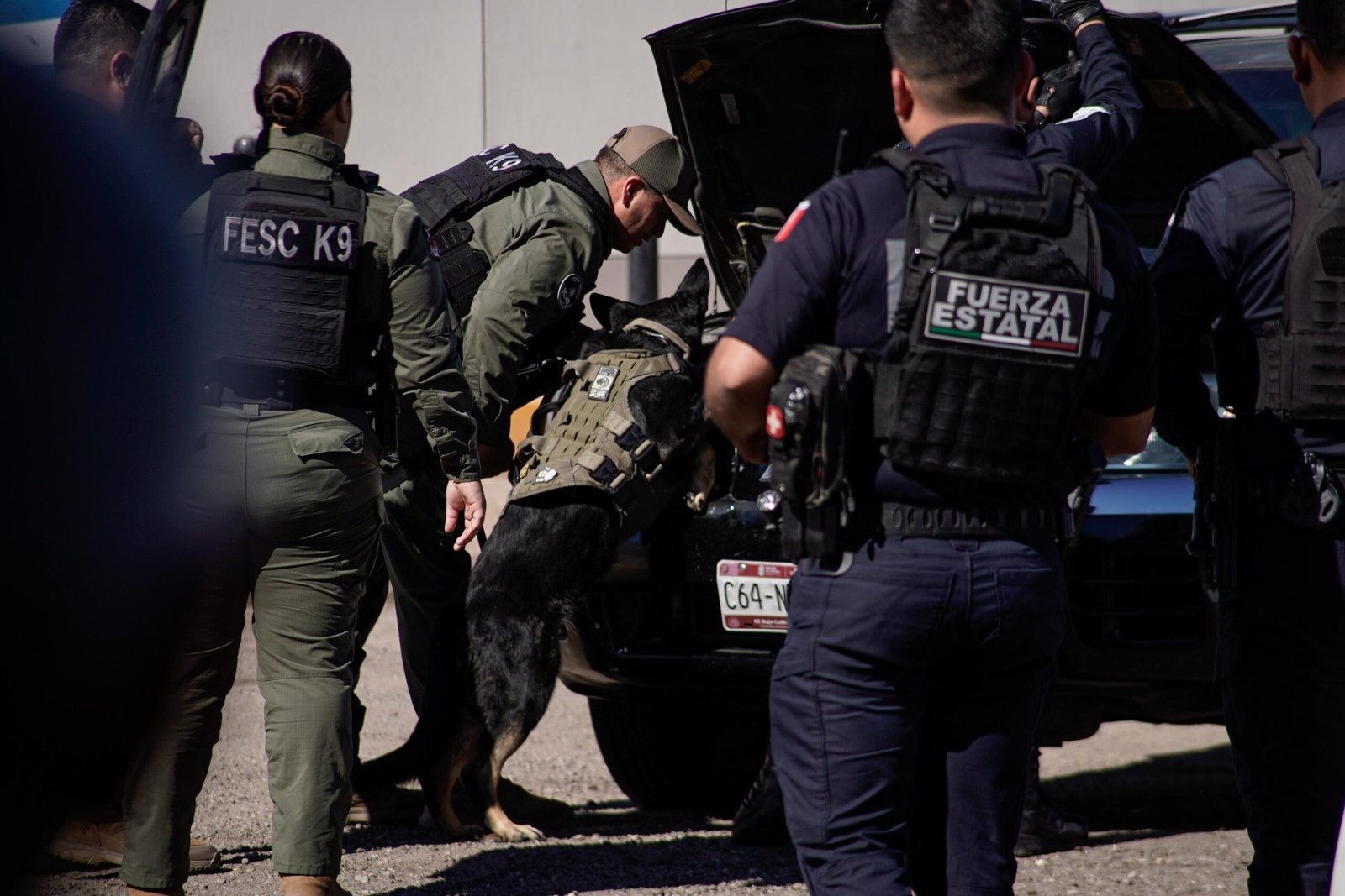 WhatsApp Image 2026-02-26 at 12.30.17 PM (5)