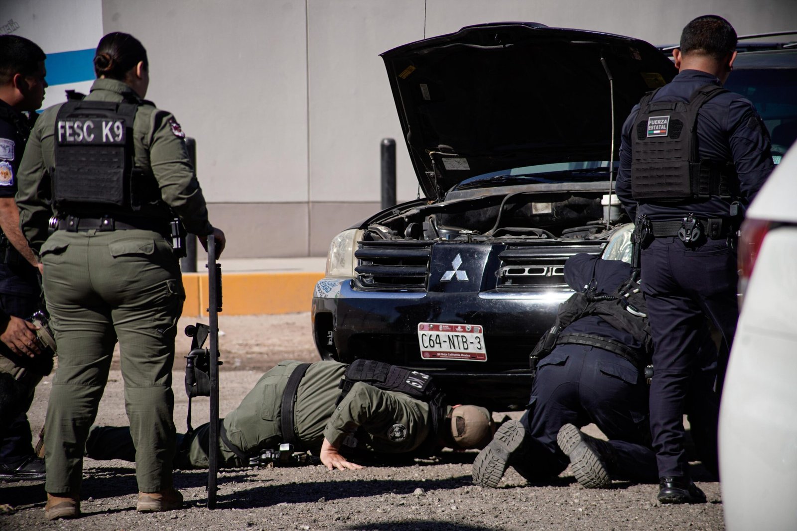 WhatsApp Image 2026-02-26 at 12.30.18 PM