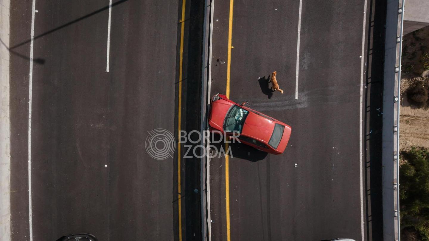 651794253_1513965157397482_5638124305824038374_n