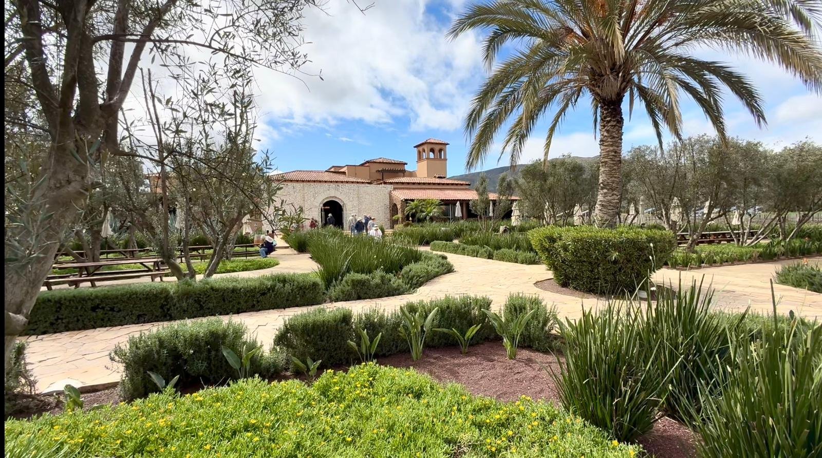 WhatsApp Image 2026-03-02 at 4.00.33 PM (1)