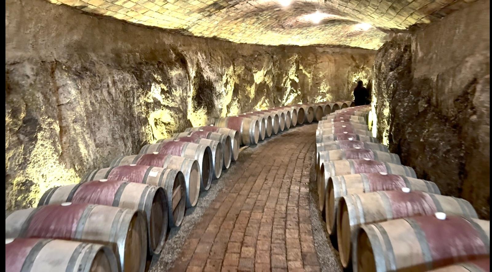 WhatsApp Image 2026-03-02 at 4.00.33 PM (5)