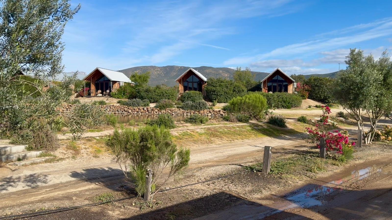 WhatsApp Image 2026-03-02 at 4.00.34 PM (5)