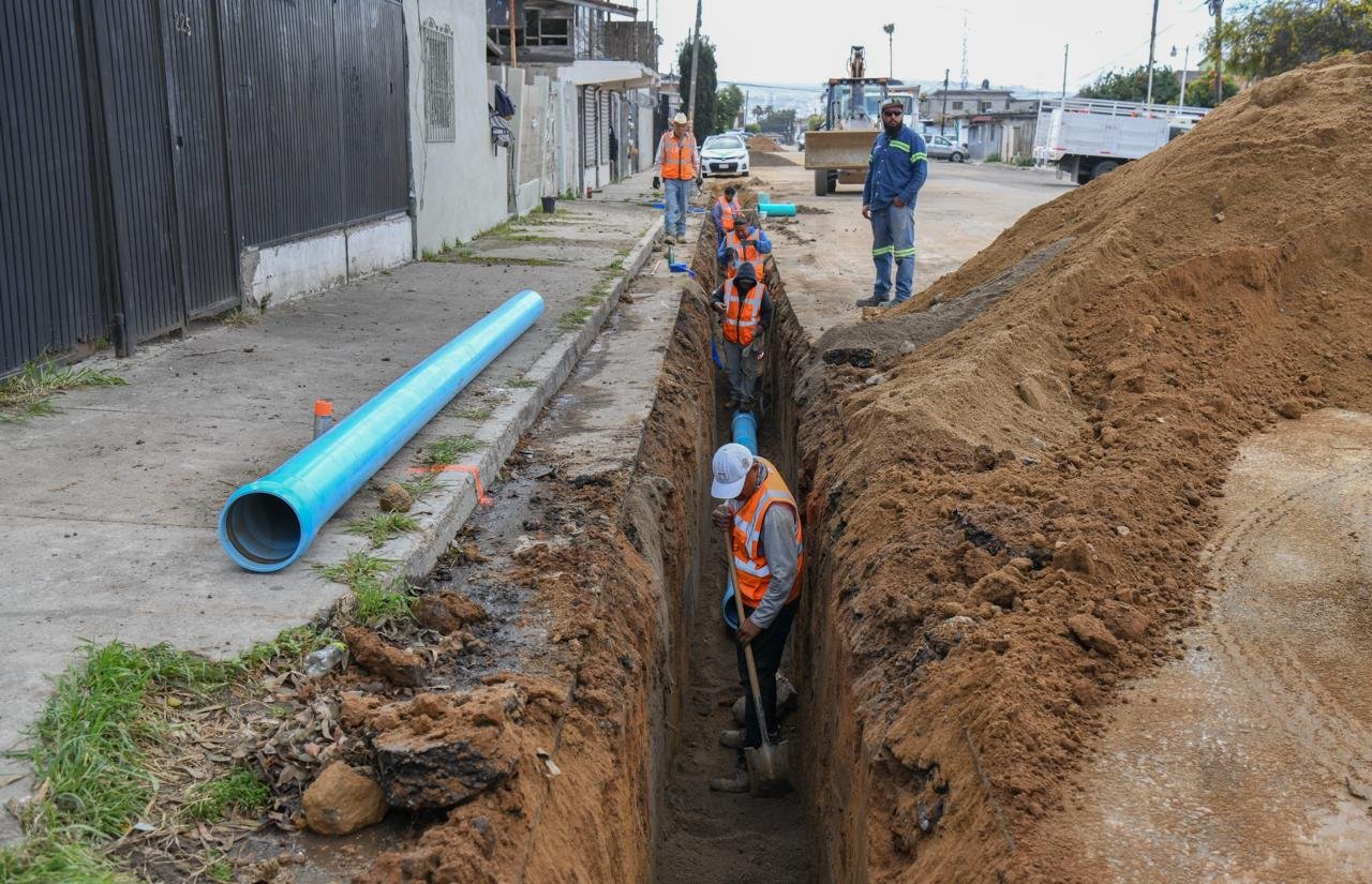 WhatsApp Image 2026-03-02 at 5.13.13 PM