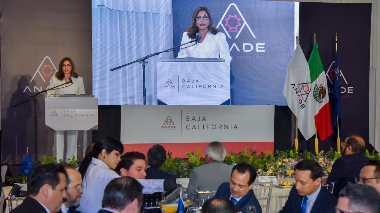 WhatsApp Image 2026-03-04 at 3.16.22 PM (2)