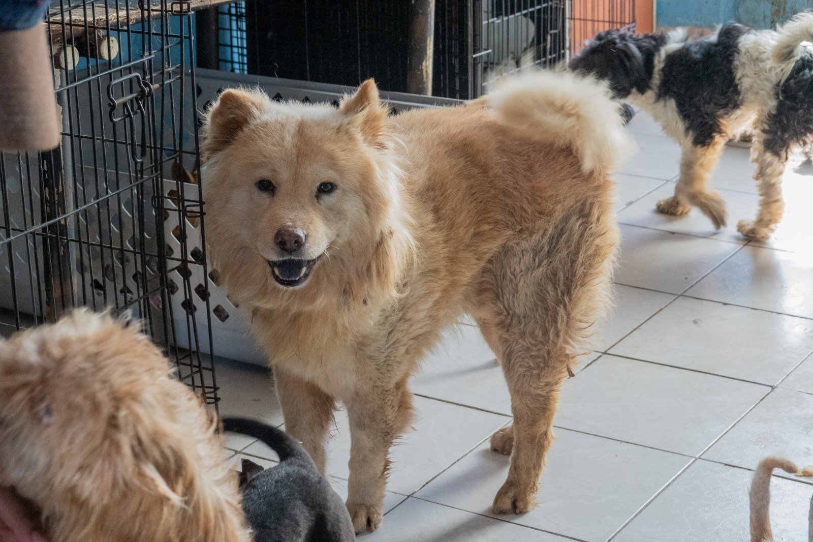 WhatsApp Image 2026-03-04 at 4.41.47 PM (2)