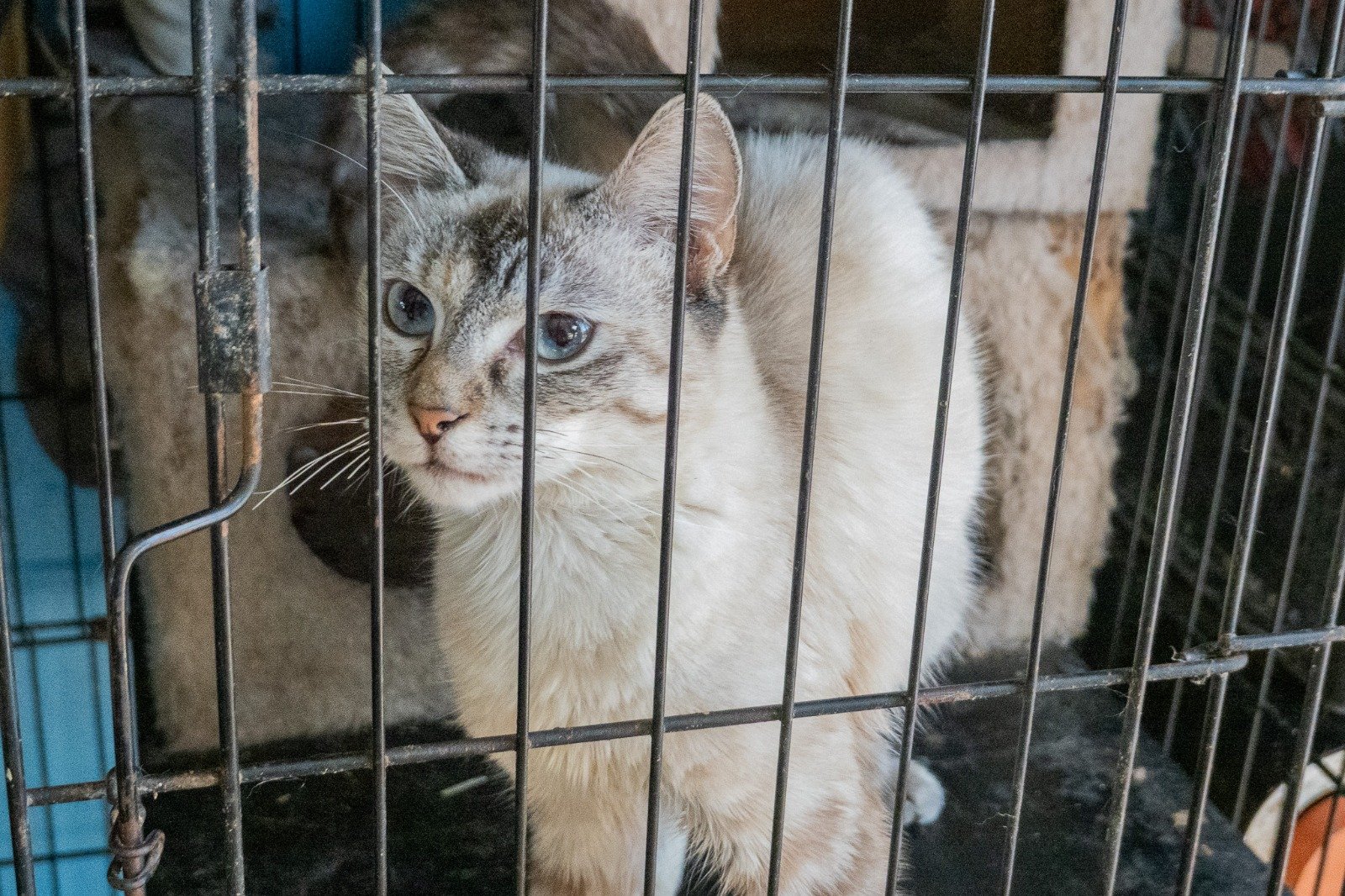 WhatsApp Image 2026-03-04 at 4.41.48 PM (1)