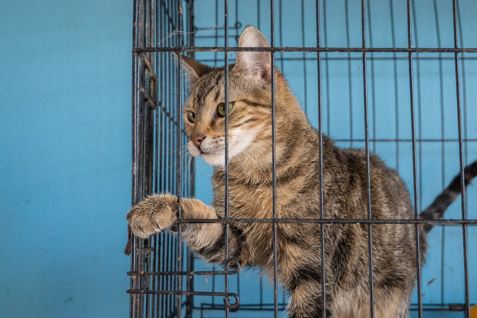 WhatsApp Image 2026-03-04 at 4.41.48 PM (2)