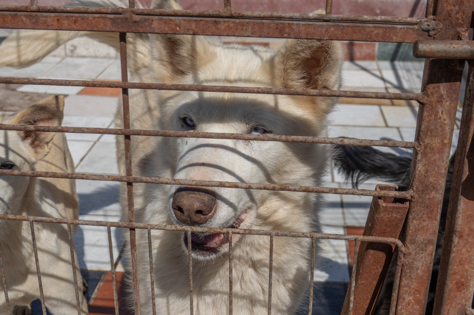 WhatsApp Image 2026-03-04 at 4.41.48 PM (3)