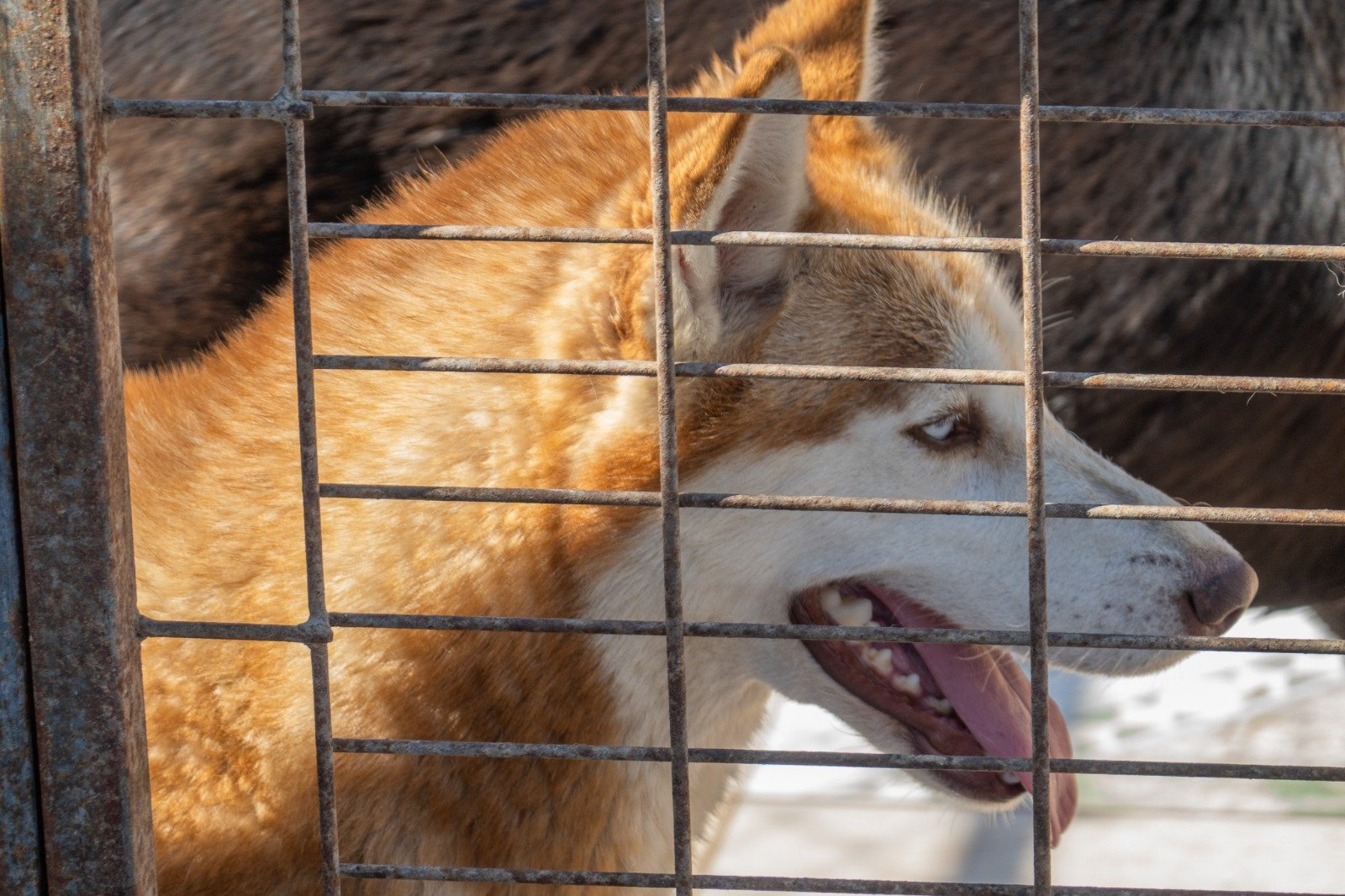 WhatsApp Image 2026-03-04 at 4.41.48 PM (4)