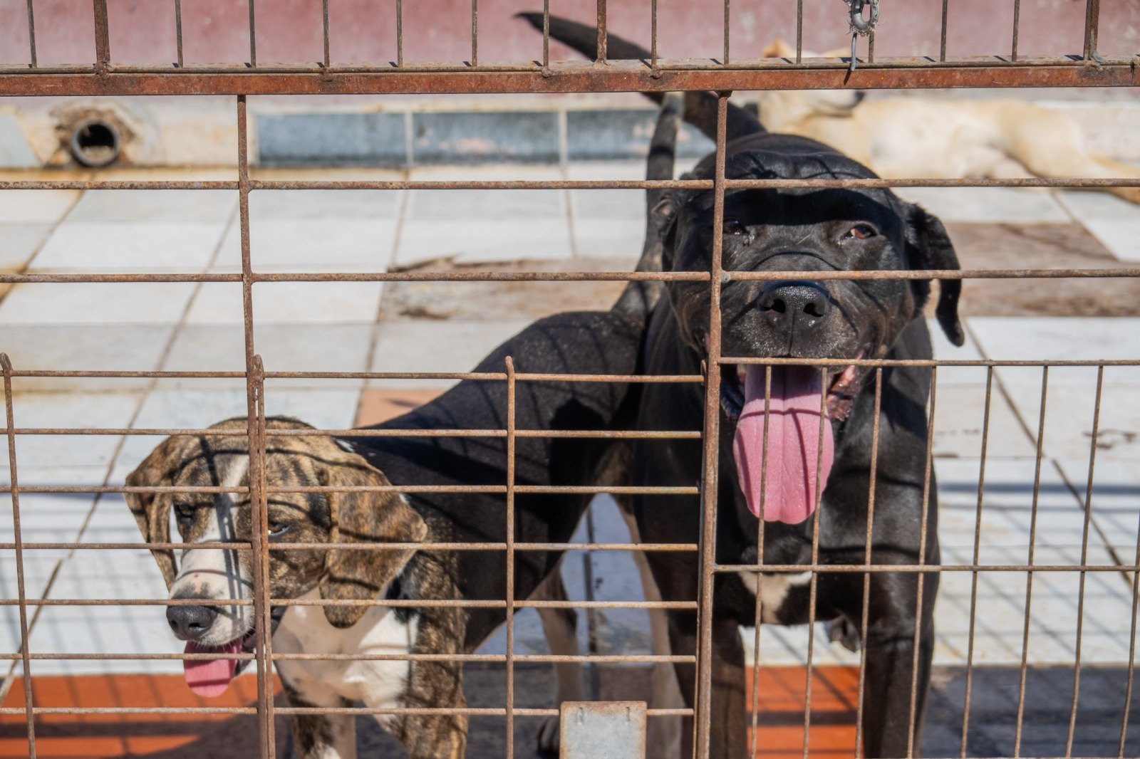 WhatsApp Image 2026-03-04 at 4.41.48 PM (5)