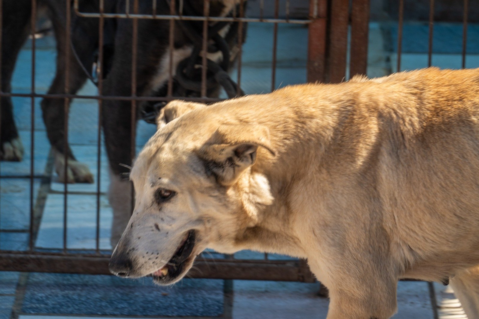 WhatsApp Image 2026-03-04 at 4.41.48 PM (6)