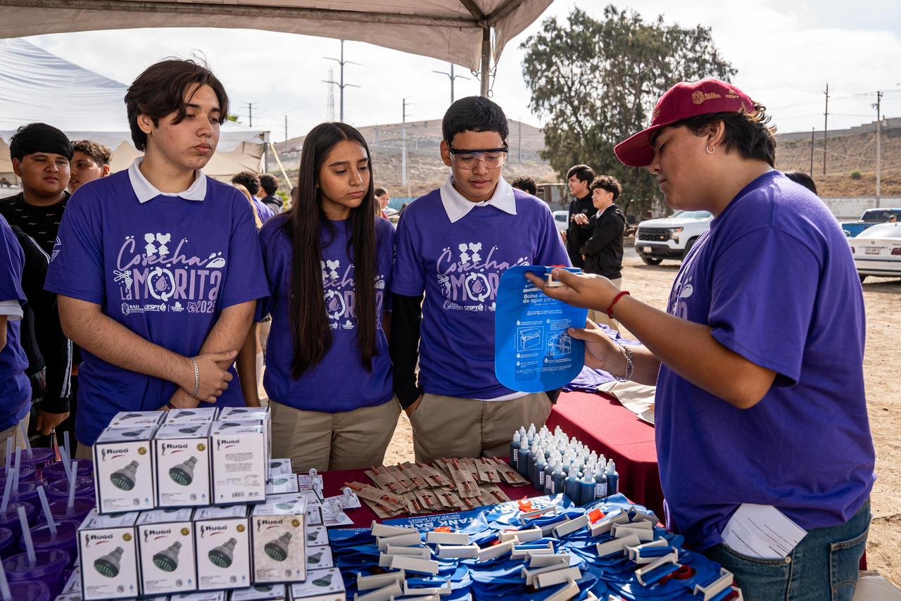 WhatsApp Image 2026-03-05 at 4.40.24 PM (2)