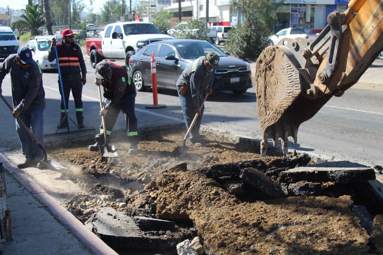 WhatsApp Image 2026-03-09 at 3.02.24 PM (1)