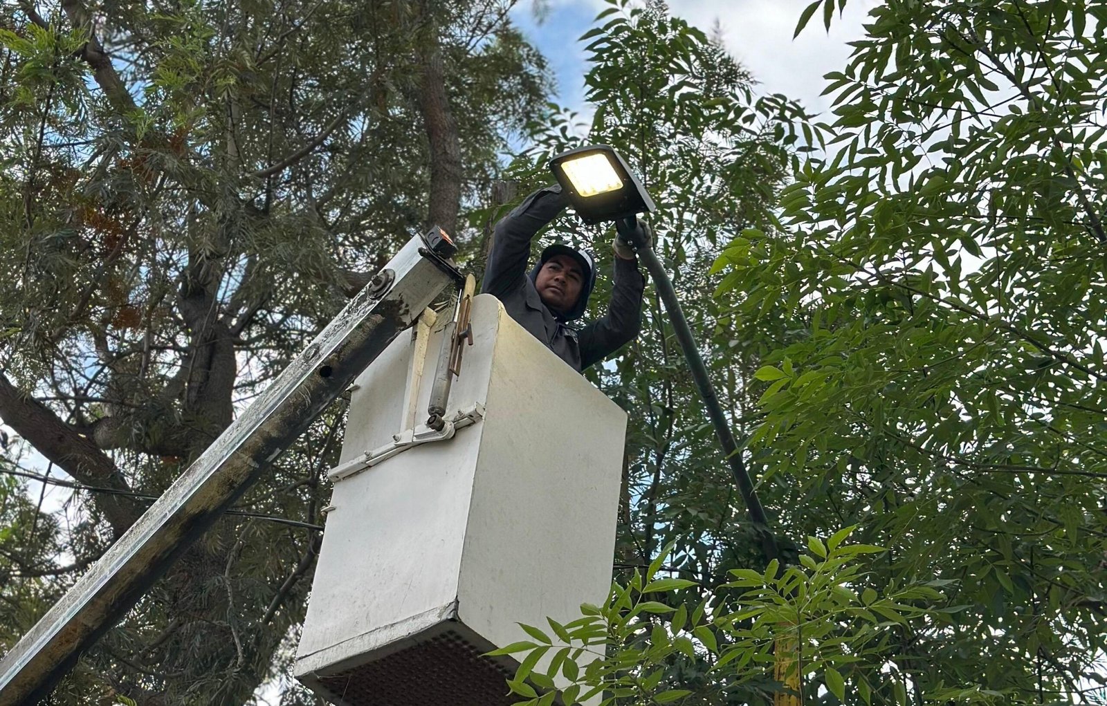 WhatsApp Image 2026-03-10 at 2.25.01 PM (2)