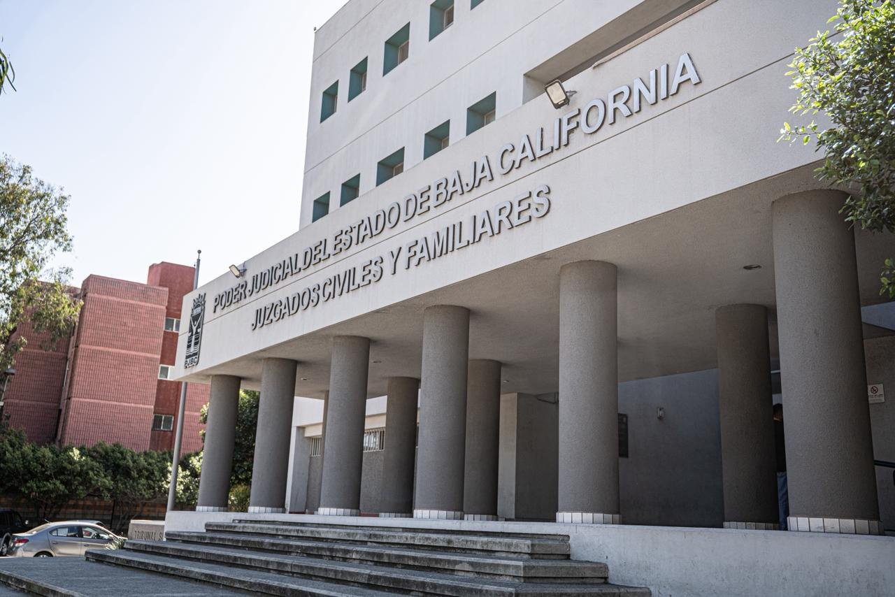 WhatsApp Image 2026-03-11 at 1.46.15 PM (1)