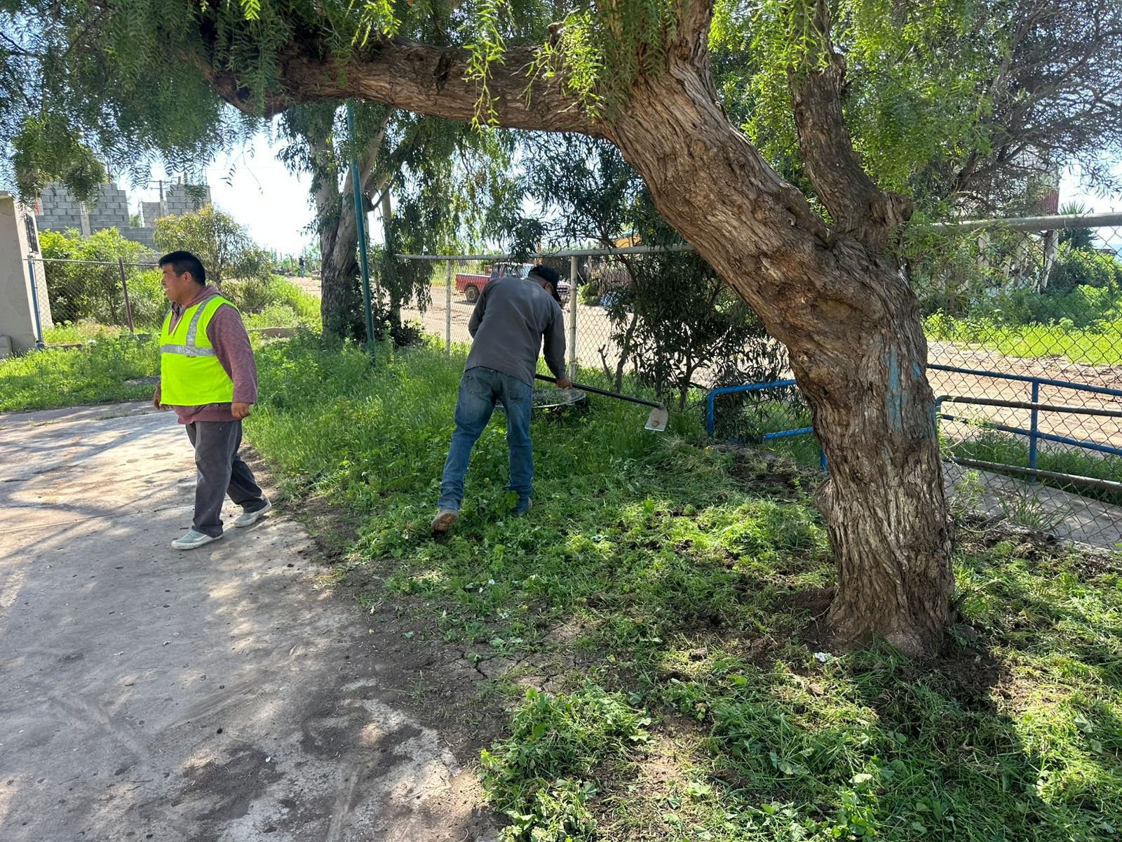 WhatsApp Image 2026-03-12 at 10.34.12 AM (3)