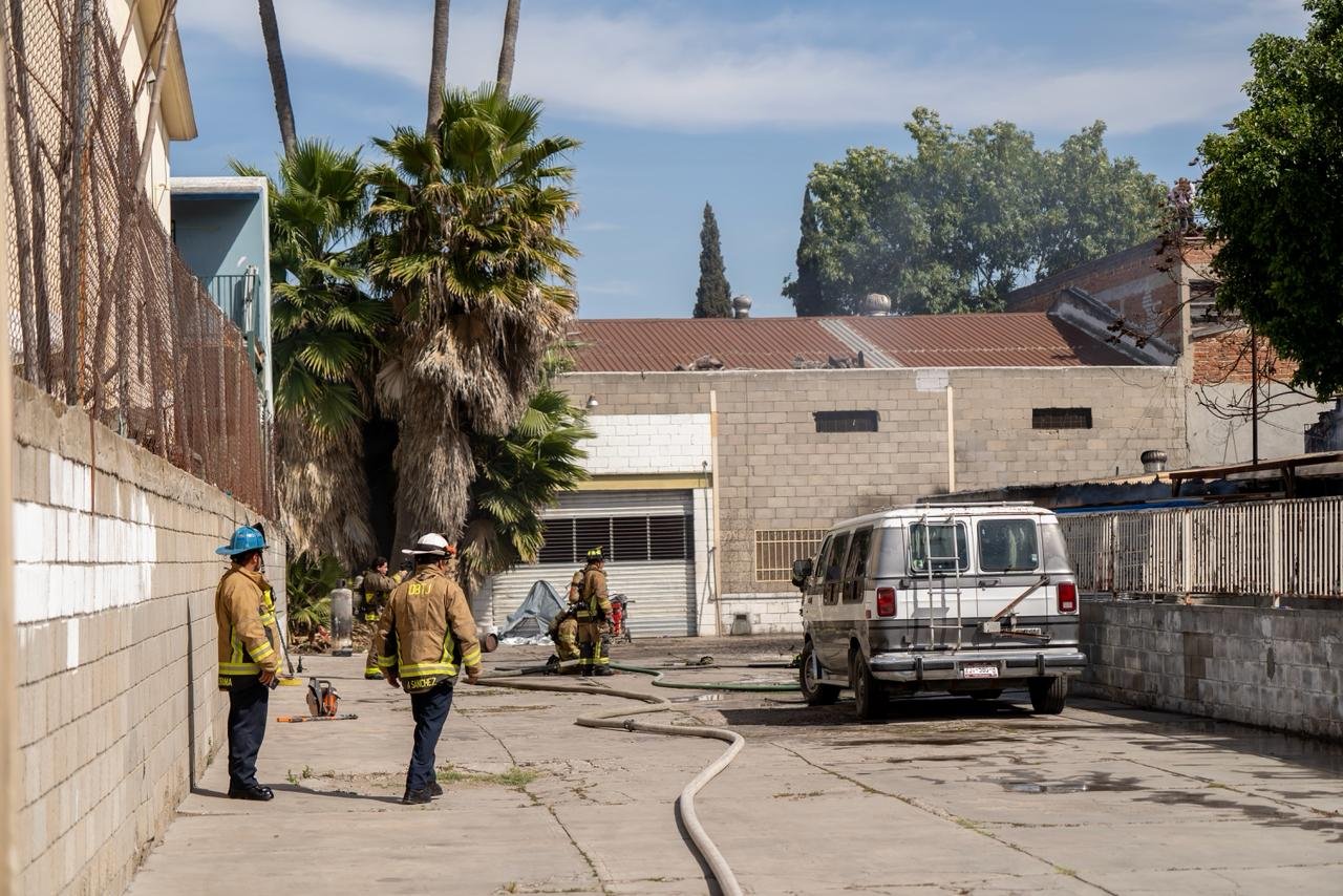 WhatsApp Image 2026-03-13 at 3.42.42 PM