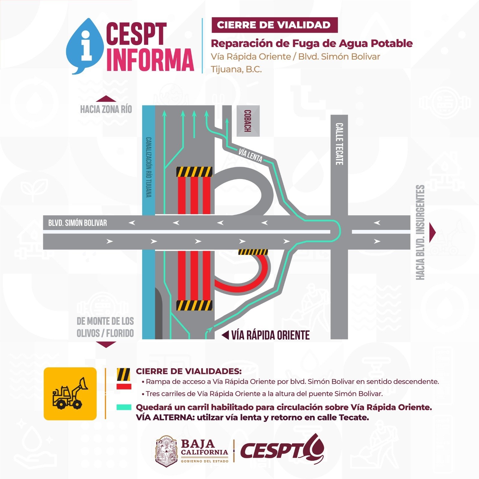 WhatsApp Image 2026-03-13 at 4.10.30 PM