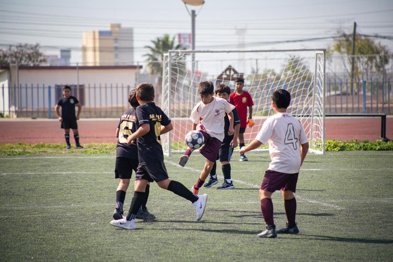 WhatsApp Image 2026-03-17 at 2.43.57 PM (3)