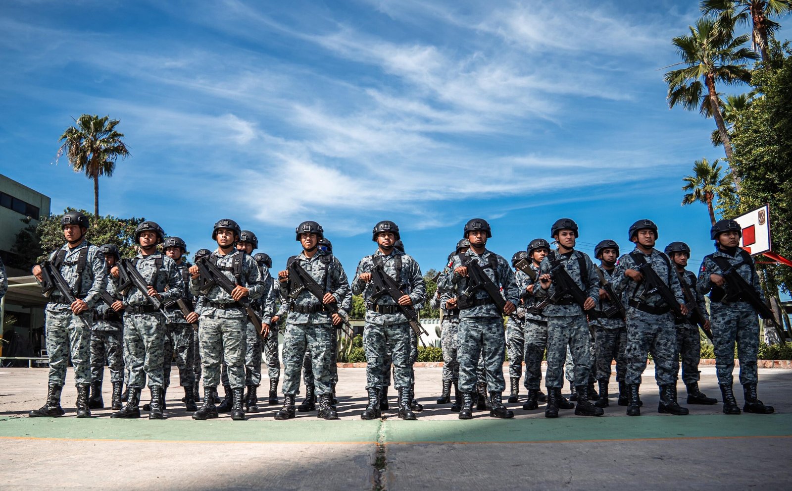 WhatsApp Image 2026-03-17 at 2.53.28 PM