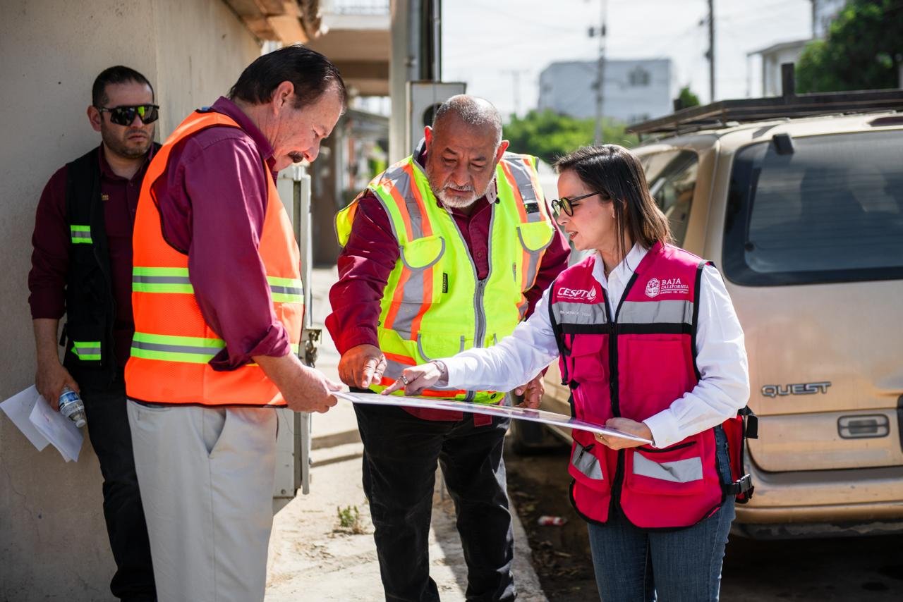 WhatsApp Image 2026-03-17 at 4.30.49 PM (1)