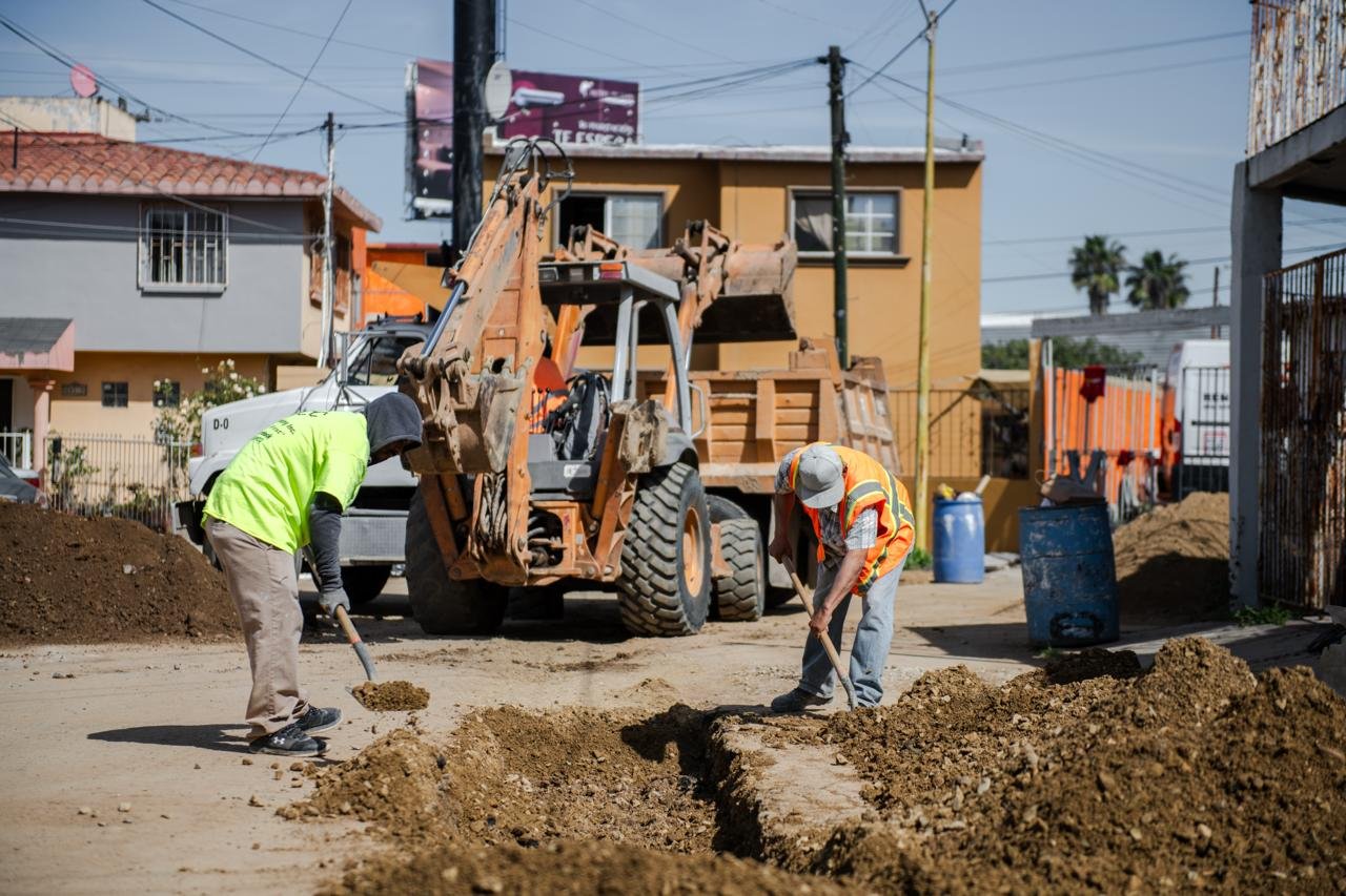 WhatsApp Image 2026-03-17 at 4.30.49 PM (2)