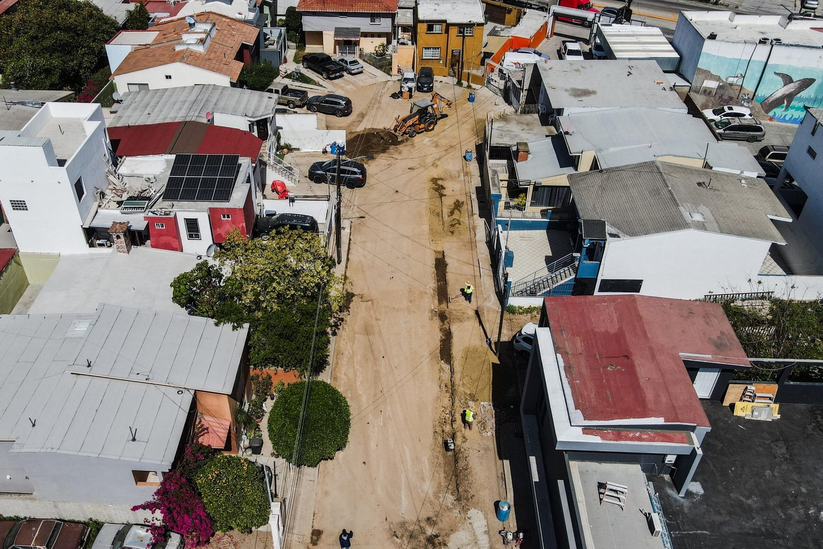 WhatsApp Image 2026-03-17 at 4.30.49 PM