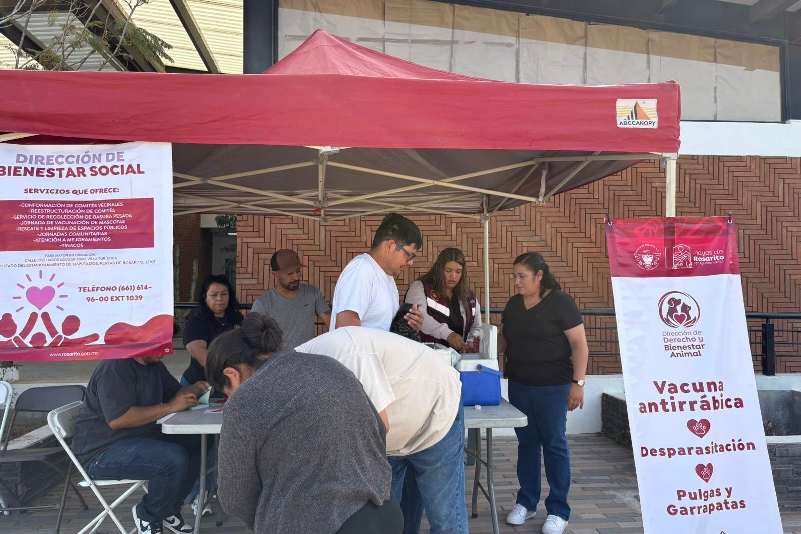 WhatsApp Image 2026-03-17 at 5.56.48 PM (1)