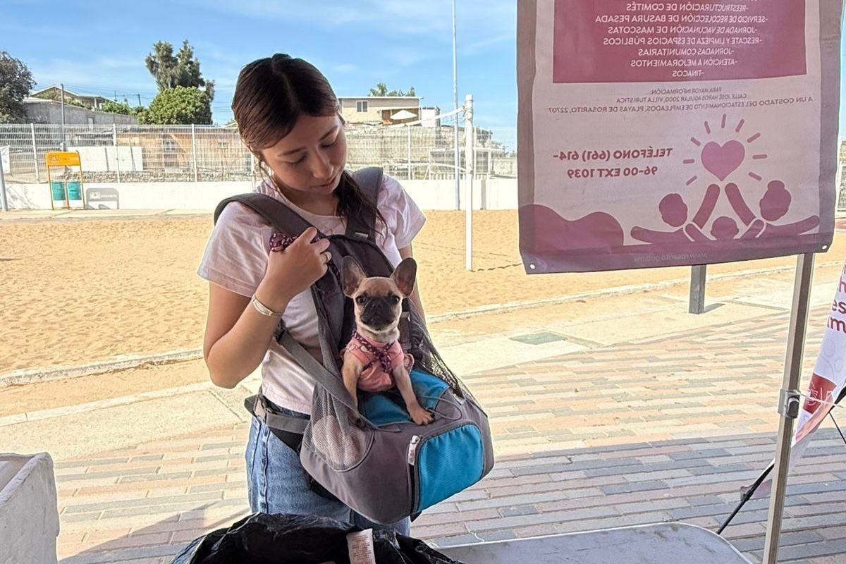 WhatsApp Image 2026-03-17 at 5.56.48 PM (2)