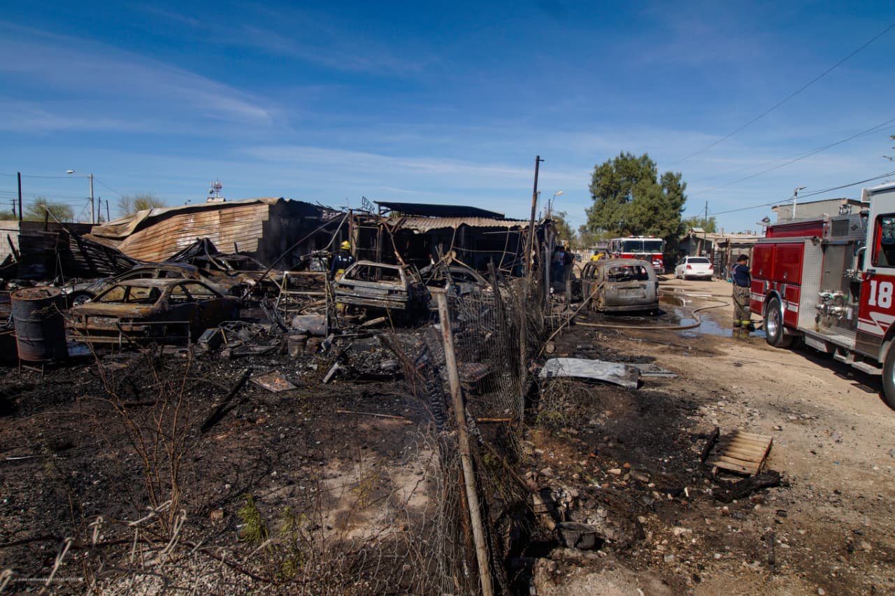 WhatsApp Image 2026-03-17 at 6.36.47 PM