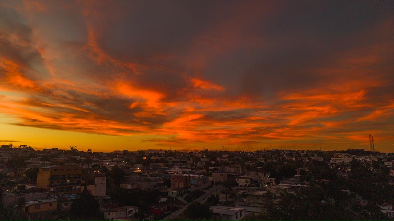 WhatsApp Image 2026-03-17 at 8.03.55 AM (3)