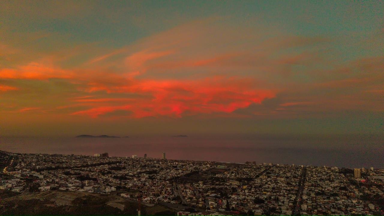 WhatsApp Image 2026-03-17 at 8.03.55 AM