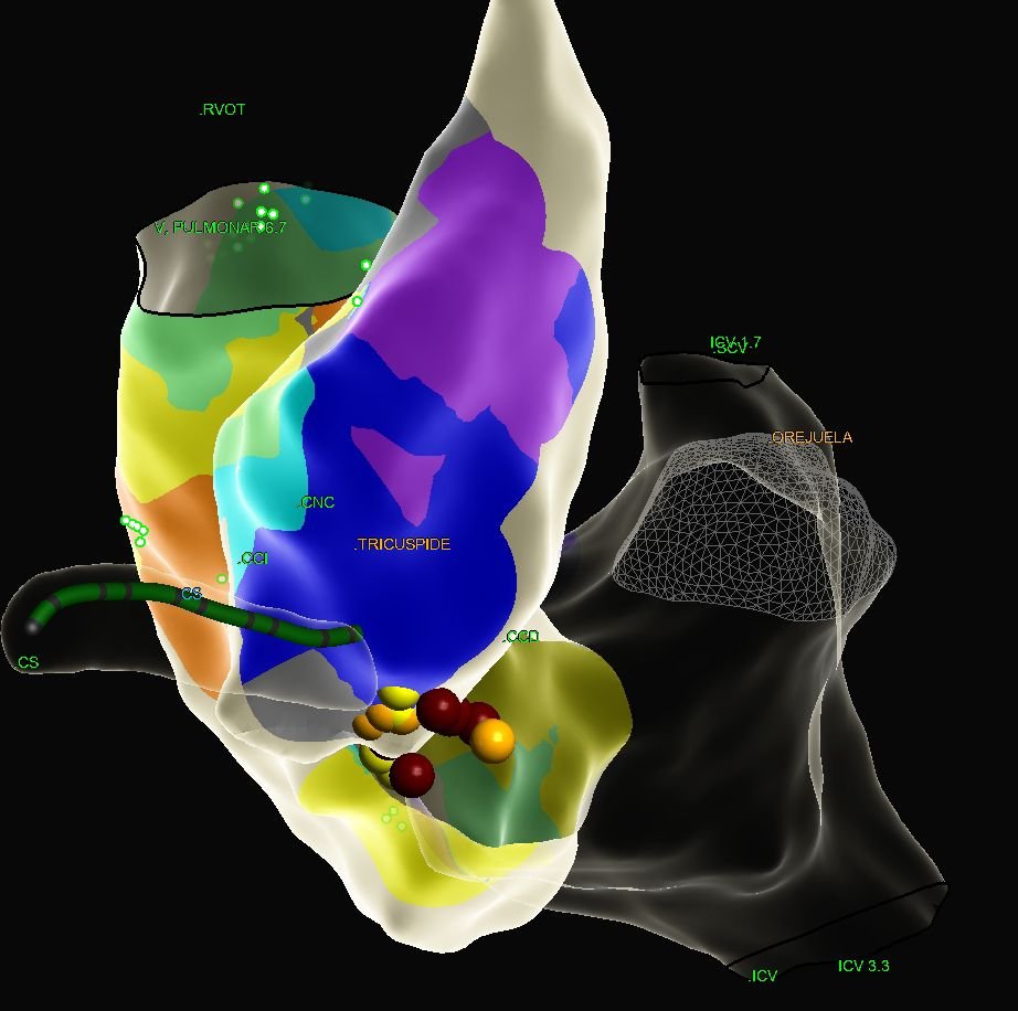 WhatsApp Image 2026-03-18 at 1.59.00 PM (3)