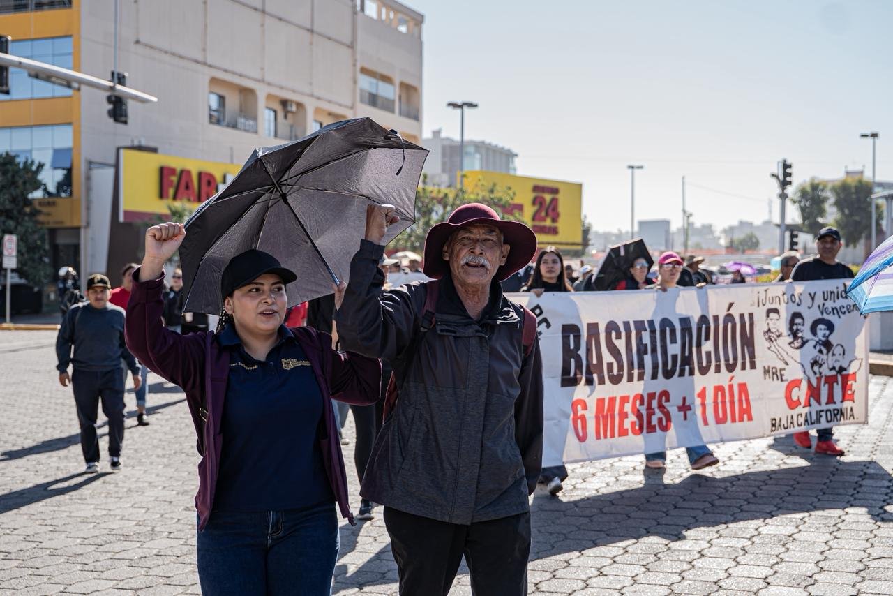 WhatsApp Image 2026-03-18 at 2.50.26 PM (3)