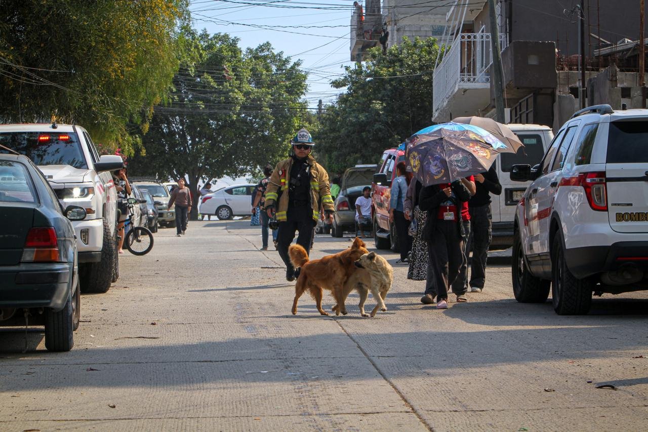 WhatsApp Image 2026-03-18 at 3.32.28 PM (2)