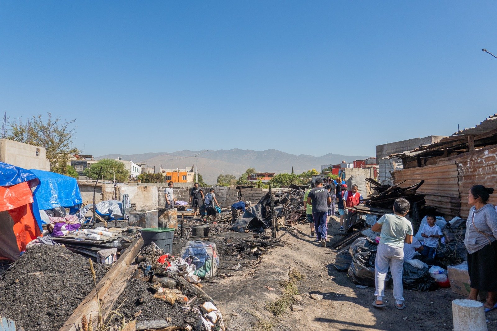 WhatsApp Image 2026-03-19 at 3.26.15 PM (2)