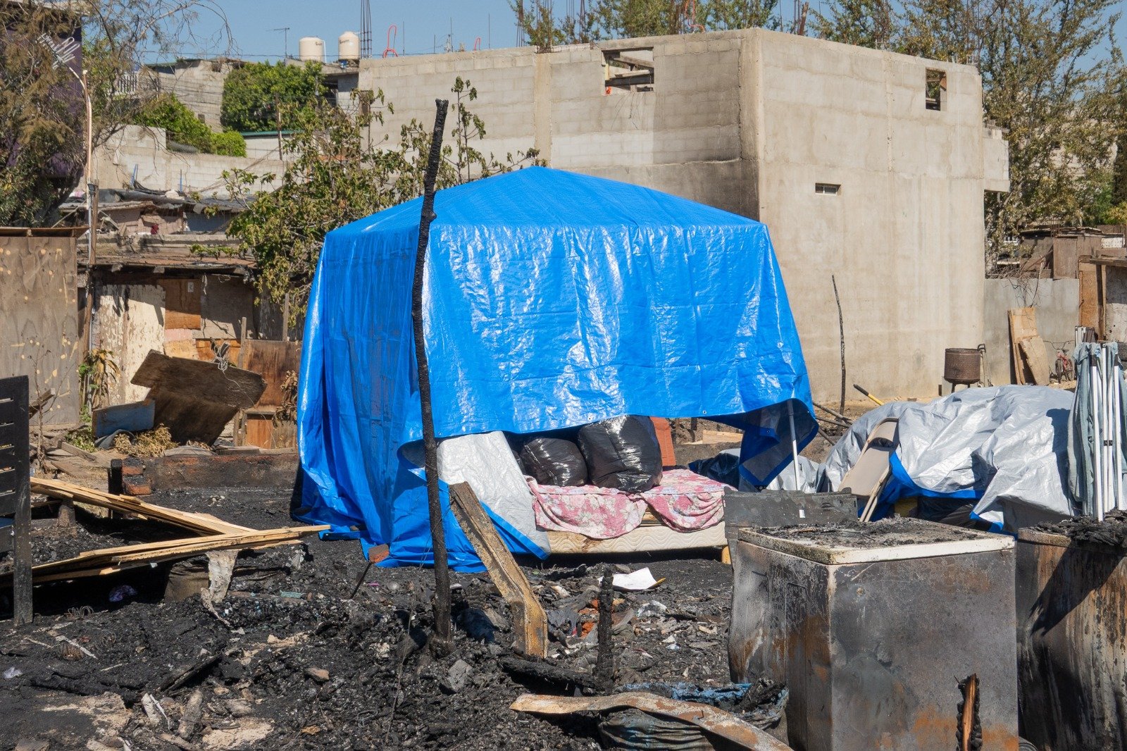 WhatsApp Image 2026-03-19 at 3.26.15 PM (3)