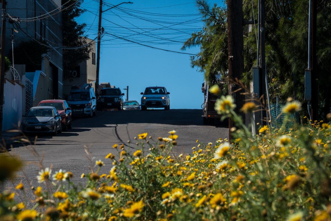 WhatsApp Image 2026-03-20 at 9.18.29 AM (1)