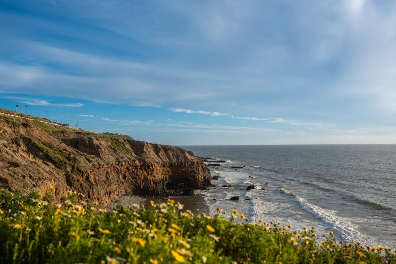 WhatsApp Image 2026-03-20 at 9.18.29 AM (2)