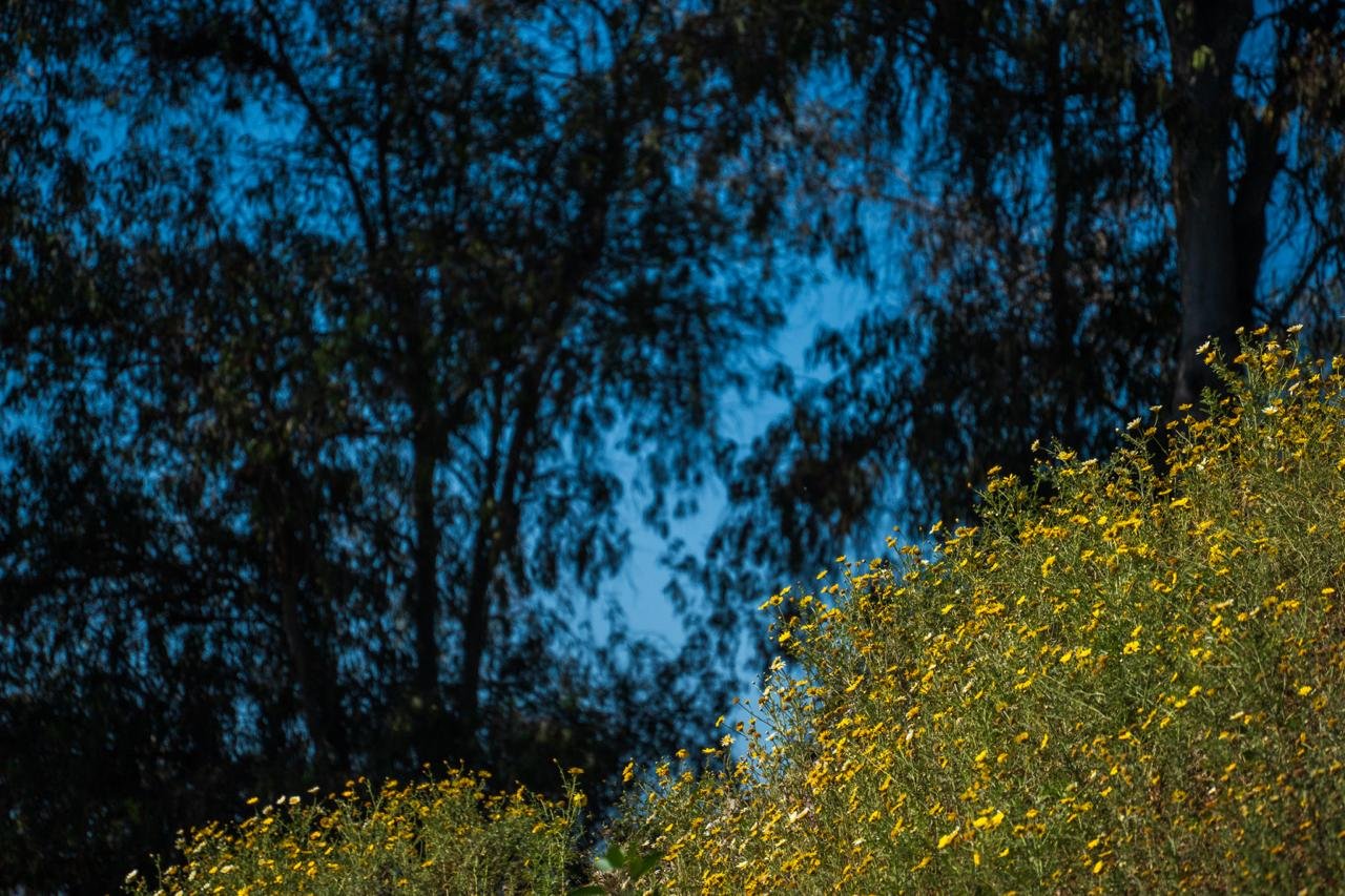 WhatsApp Image 2026-03-20 at 9.18.30 AM (1)