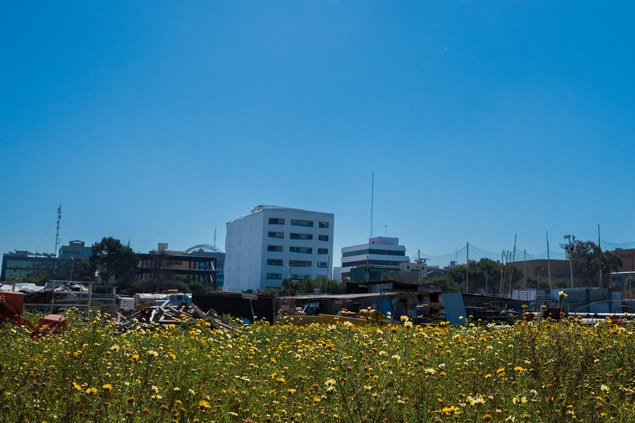 WhatsApp Image 2026-03-20 at 9.18.30 AM (2)