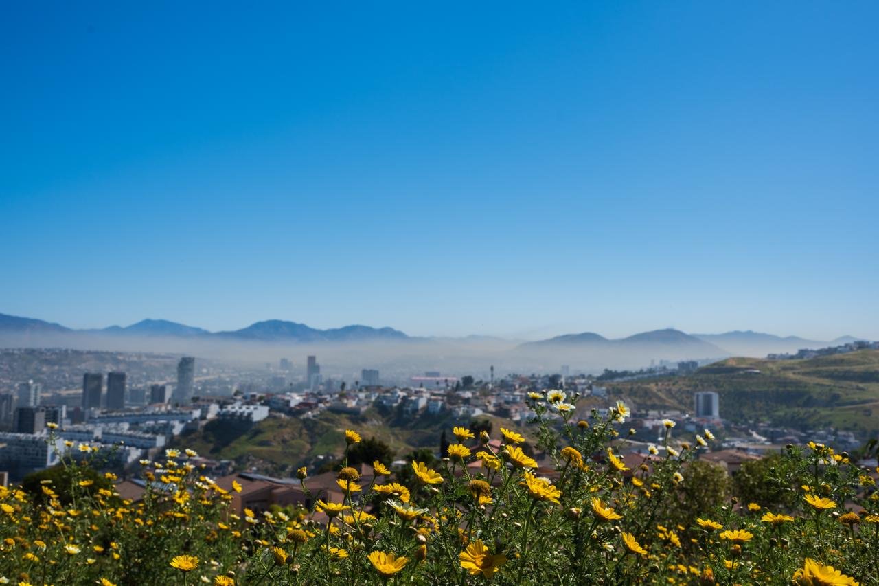 WhatsApp Image 2026-03-20 at 9.18.30 AM