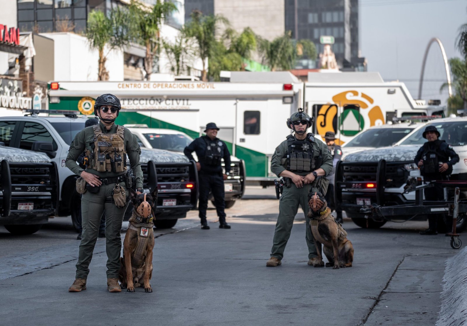 WhatsApp Image 2026-03-24 at 1.22.39 PM