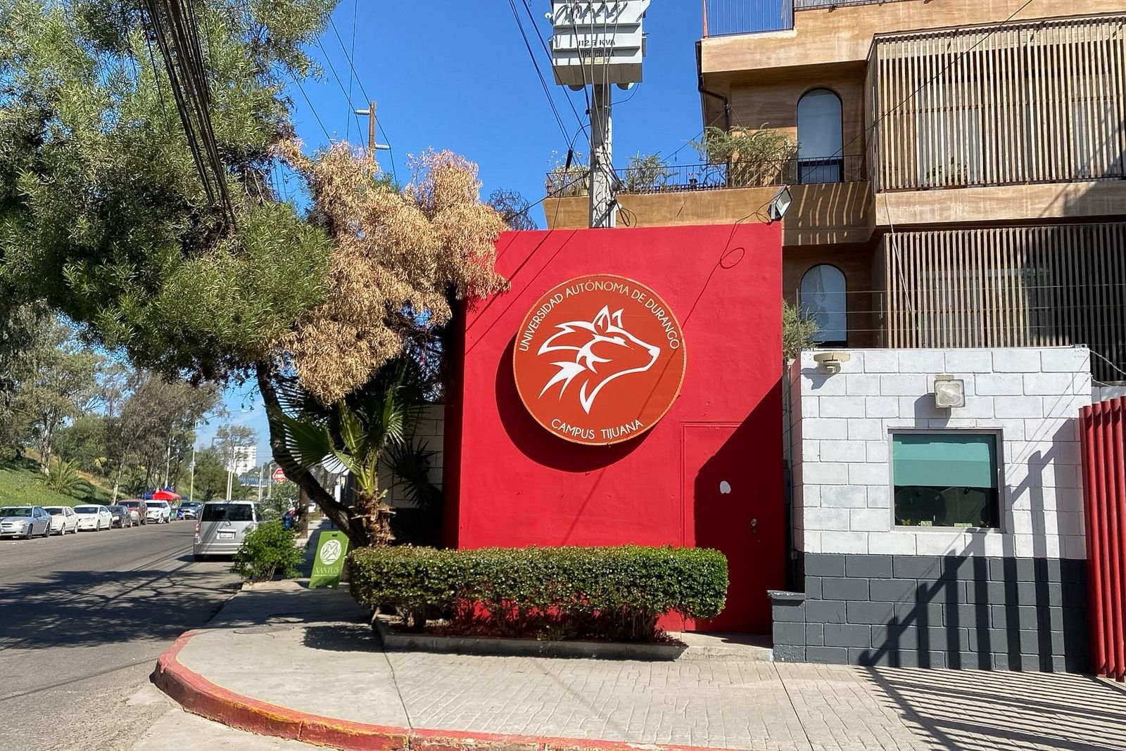 WhatsApp Image 2026-03-26 at 11.24.35 AM (4)