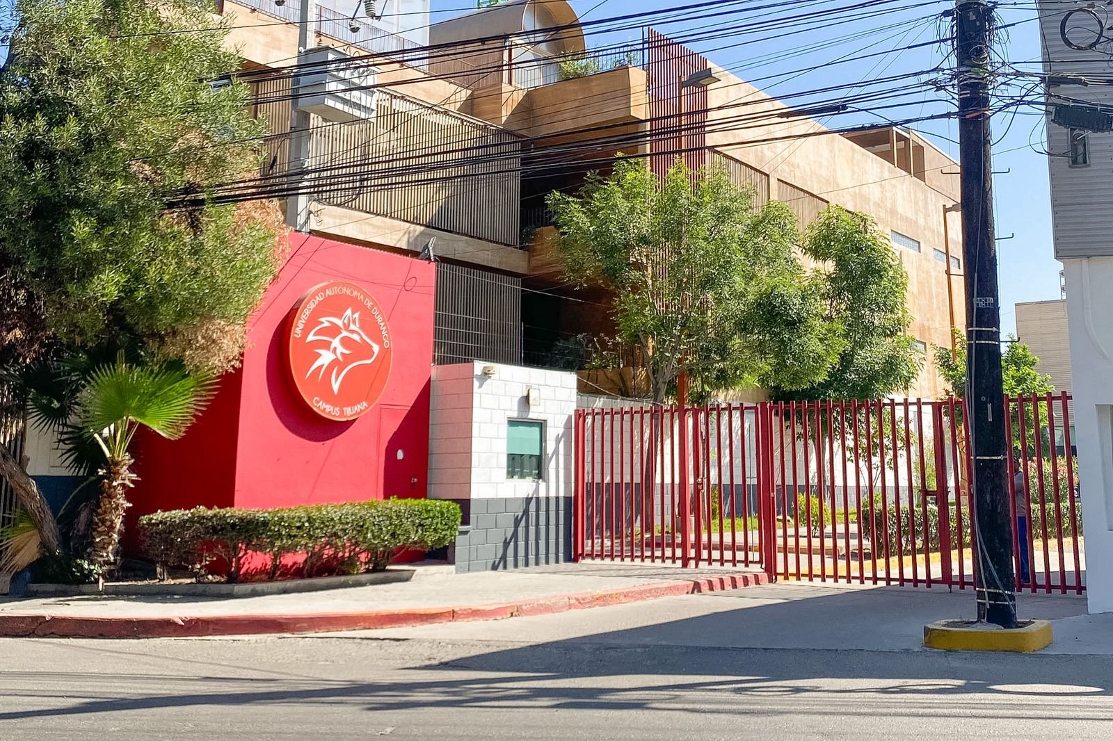 WhatsApp Image 2026-03-26 at 11.24.35 AM