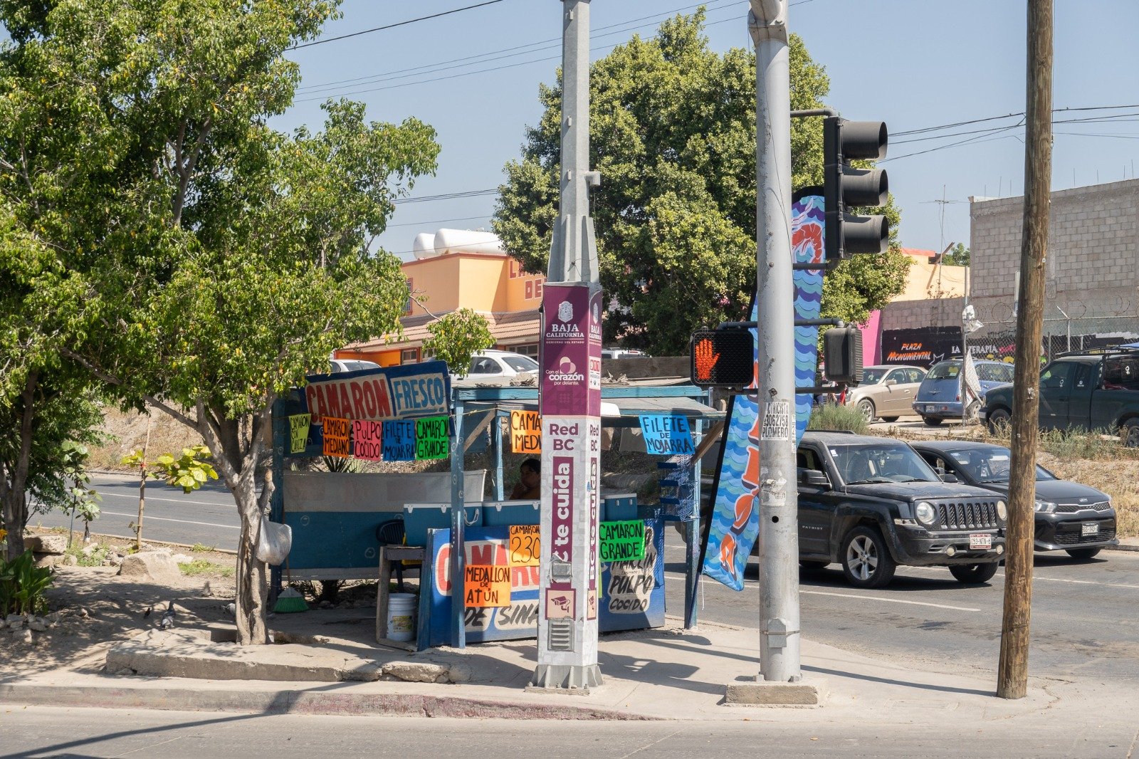 WhatsApp Image 2026-03-27 at 12.53.48 PM (3)