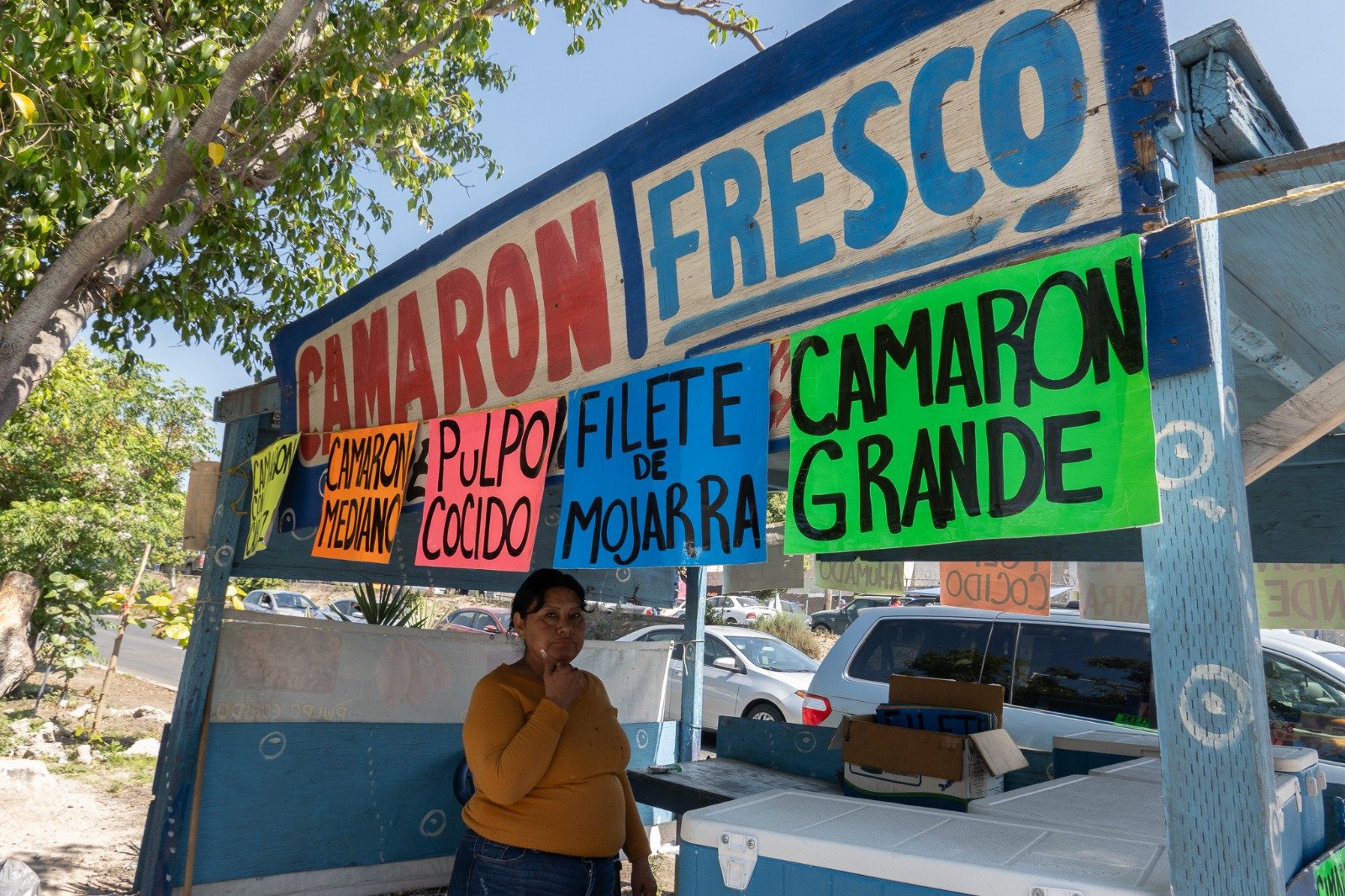 WhatsApp Image 2026-03-27 at 12.53.48 PM (5)