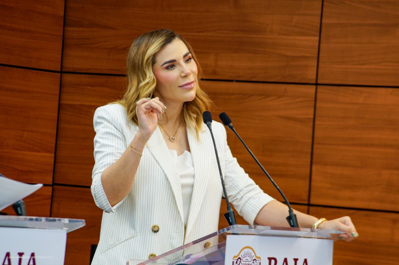 WhatsApp Image 2026-03-31 at 11.04.29 AM